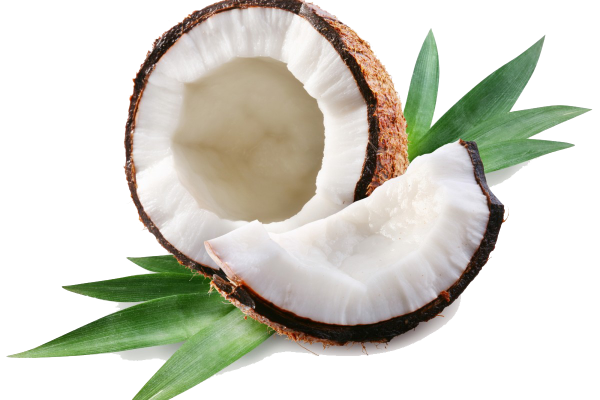 Coconut