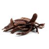 Carob