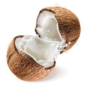 coconutmilk