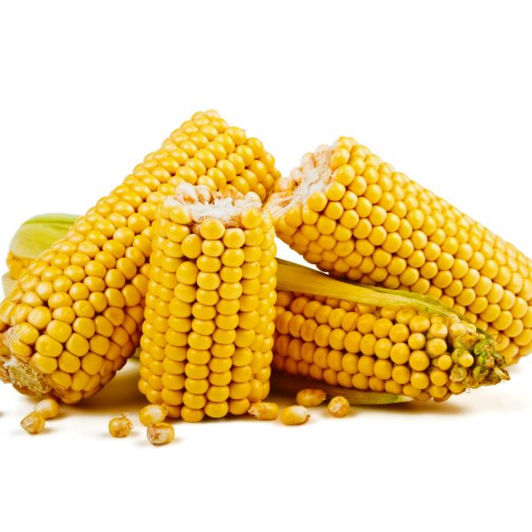 corn-proteins