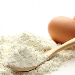 egg-albumen-powder-Egg-White-powder