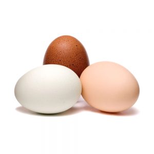 Egg Products