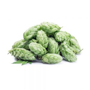 Hops