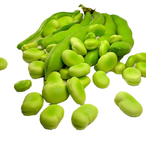 legumes