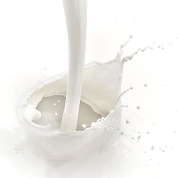 milk-proteins-2