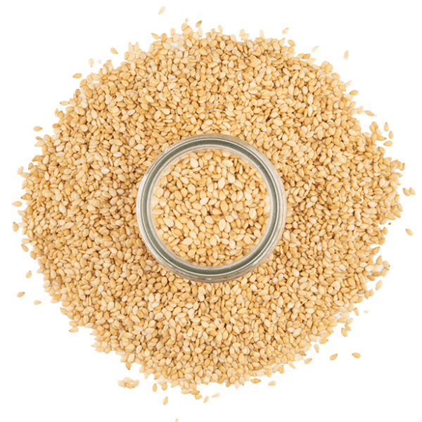 Oil Seeds