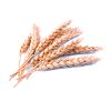 wheat-starch